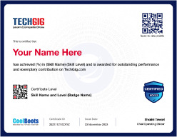Springboot Beginner Level Certificate